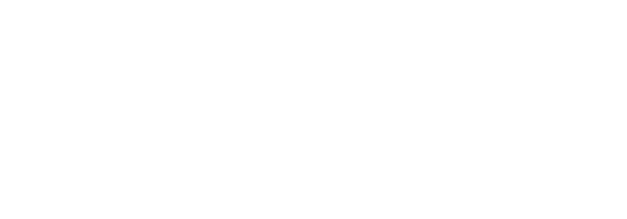 Norma-Group-logo-blanco